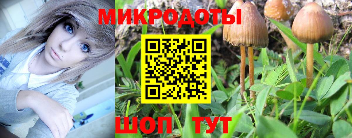 Псилоцибиновые грибы GOLDEN TEACHER Нальчик