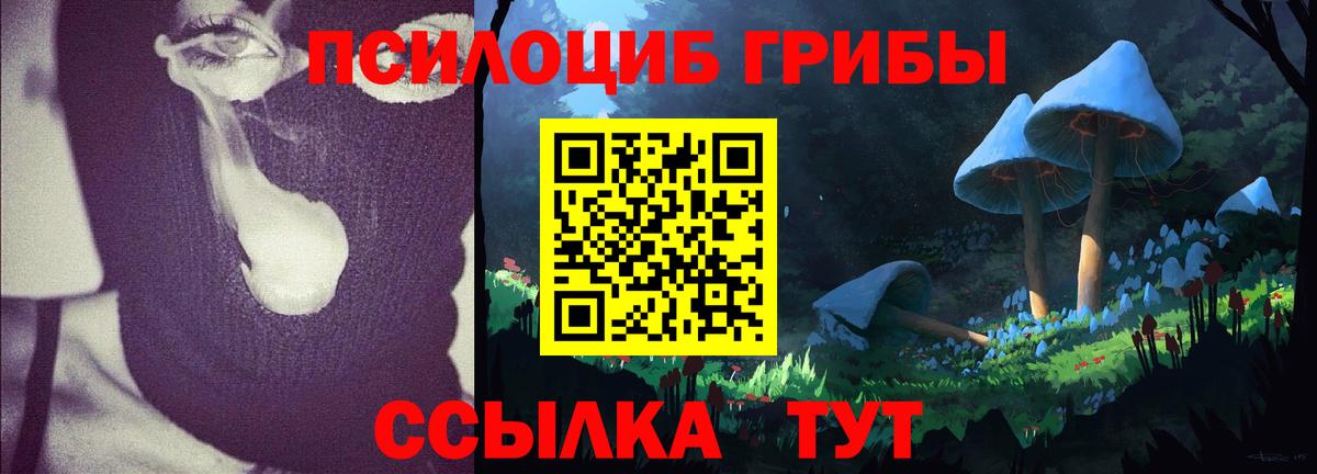 Нальчик  Псилоцибиновые грибы ЛСД  Вход с VPN 